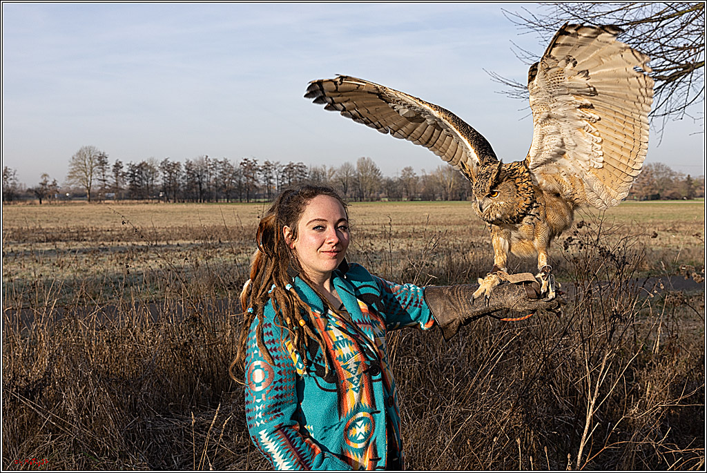 Cheyenne-Halbblut Hunting Wolf in der Falknerei Pierre Schmidt; Gymnich, 09.02.2023